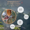 【福东海】金线莲50克/盒 FDH1520