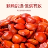 【福东海】枣仁260克/瓶 FDH01010541