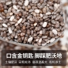 【福东海】奇亚籽160克/盒* 2盒  FDH1948-2