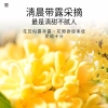 【福东海】冻干桂花30克/罐 FDH01010450