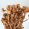 天生好果茶树菇118克*2包