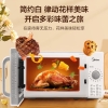 美的微波炉M100