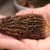 燕之坊  黑麦荞麦杂粮挂面礼盒 1.6kg