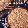 乐养优品精选燕麦400g