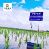 邻家饭香 核心产区五常大米 2.5kg/袋 真空双层包装LJFX78
