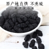 鲜山叔 野桑葚干100g/1罐