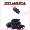 鲜山叔 野桑葚干100g/1罐