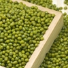 鲜山叔 东北绿豆1.5kg/1袋