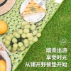 凯速便携防水防潮野餐垫 F17