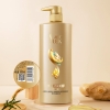 舒蕾参姜养根健发洗发露-800ml