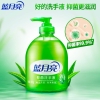 蓝月亮500g抑菌洗手液瓶