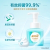 蓝月亮鲜果薄荷泡沫抑菌洗手液255g-10001608