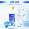 蓝月亮强效厕清500g-10001725