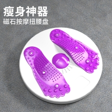 宏太（HongTai）扭腰盘扭腰机家用瘦腰健身器材女运动旋转扭扭机 浅紫色