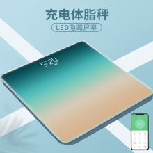 宏太（HongTai）测人体17项数据智能脂肪秤蓝牙APP HT-04ES