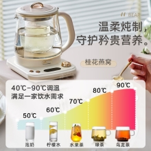 小熊养生壶YSH-E15L7