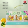 【新京堂】青桔百香果茶120g