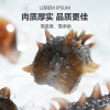 江鲜森国标·鲜食海参1388款 1000g（16-24头）