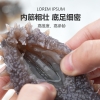 江鲜森国标·鲜食海参1388款 1000g（16-24头）
