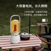塞尔兰斯拾音野营灯音箱Z15
