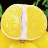 嗨果粒 黄金葡萄柚优选4粒 上架时间11月1日下架时间2月28日