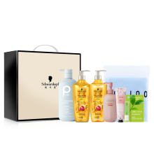 施华蔻冬季滋养B型