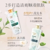 诗朗【净油蓬松】洗沐组合 茶籽洗发+绿茶沐浴 750g*2 SLTZ1500G005